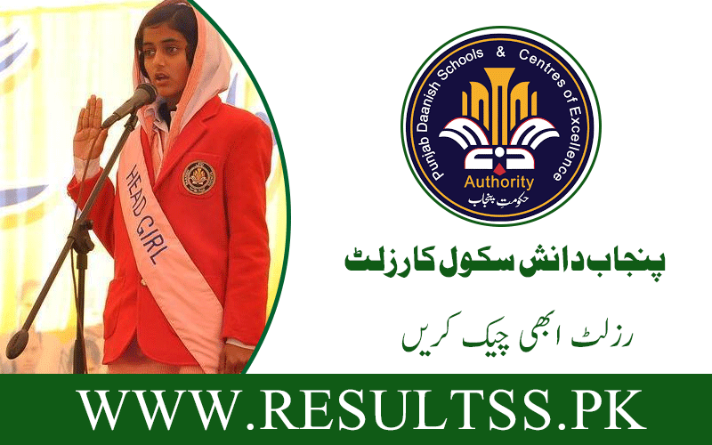 Danish School Result 2025 Class 6 Merit List Punjab